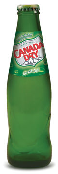 CANADA DRY 20CL Afbeeldingen van CANADA DRY 20CL