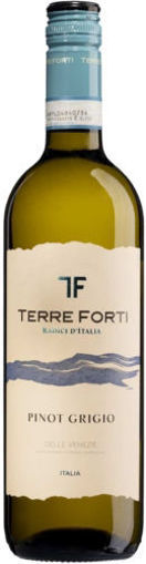 Afbeeldingen van Terre Forti Pinot Grigio