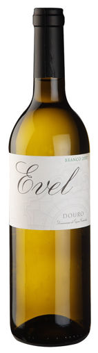 Afbeeldingen van Evel Branco